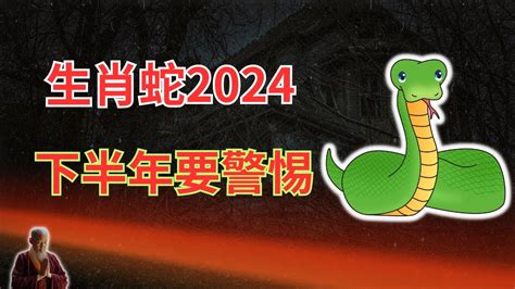 屬蛇運勢|屬蛇人2024運勢及運程完整版 屬蛇2024年運勢及每月運程詳解